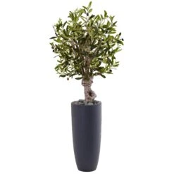 3.5’ Olive Tree In Gray Cylinder Planter