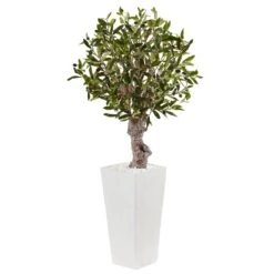 3.5’ Olive Tree In White Tower Planter