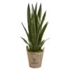 3.5’ Sansevieria Artificial Plant In Farmhouse Planter -Artificial Flowers Sale artificial 35 sansevieria artificial plant in farmhouse planter nearly natural 774774