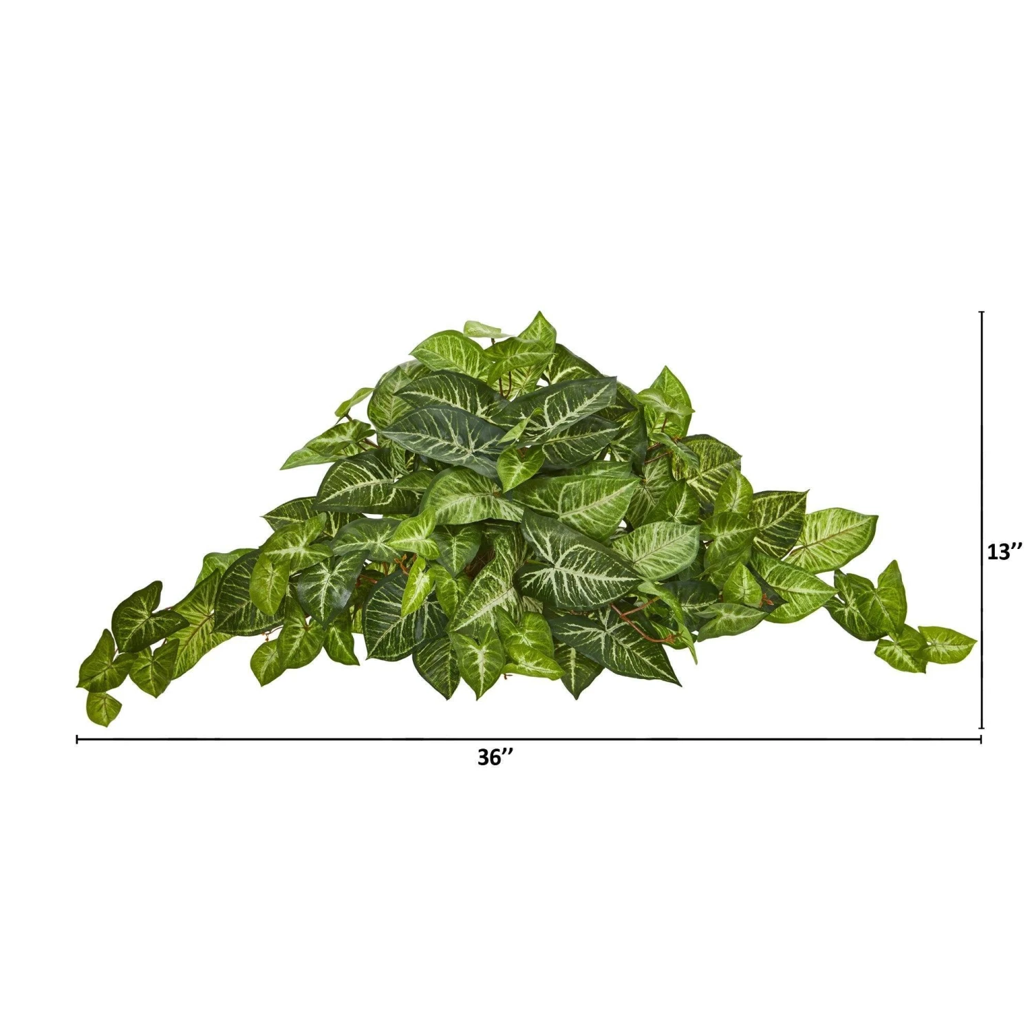 36” Nephthytis Artificial Ledge Plant 4 36” Nephthytis Artificial Ledge Plant - Image 2