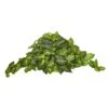 36” Nephthytis Artificial Ledge Plant -Artificial Flowers Sale artificial 36 nephthytis artificial ledge plant nearly natural 711769