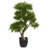 37” Podocarpus Artificial Tree 1 37” Podocarpus Artificial Tree -Artificial Flowers Sale artificial 37 podocarpus artificial tree nearly natural 843317