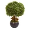 38” Boxwood Artificial Topiary Tree In Decorative Bowl (Indoor/Outdoor) -Artificial Flowers Sale artificial 38 boxwood artificial topiary tree in decorative bowl indooroutdoor nearly natural 299050