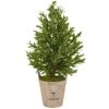 38” Olive Cone Topiary Artificial Tree In Farmhouse Planter