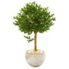38” Olive Topiary Artificial Tree In Bowl Planter(Indoor/Outdoor)