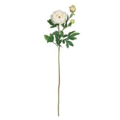 38.5" Peony W/Leaves Stem (Set Of 12)" -Artificial Flowers Sale artificial 385 peony wleaves stem set of 12 nearly natural white 278581