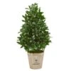 39” Bay Leaf Cone Topiary Artificial Tree In Farmhouse Planter