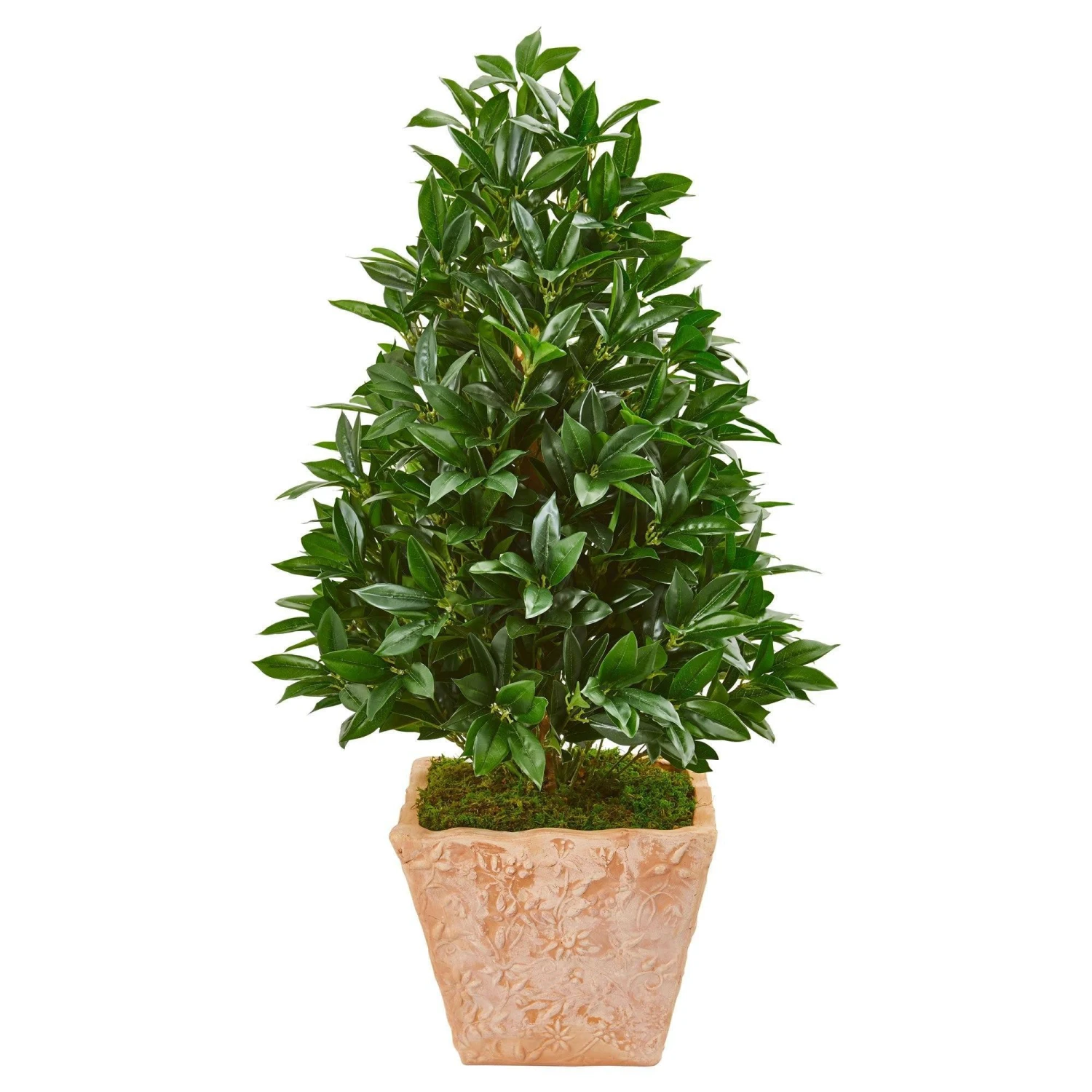 39” Bay Leaf Cone Topiary Artificial Tree In Terra Cotta Planter(Indoor/Outdoor) 3 39” Bay Leaf Cone Topiary Artificial Tree In Terra Cotta Planter(Indoor/Outdoor)