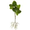 39” Foliage Artificial Branch With Intricate Roots System (Set Of 2) -Artificial Flowers Sale artificial 39 foliage artificial branch with intricate roots system set of 2 nearly natural 129839