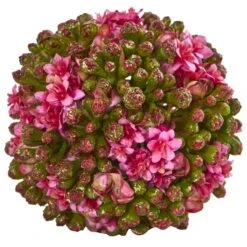 4” Artificial Kalanchoe Ball (Set Of 6) 7 4” Artificial Kalanchoe Ball (Set Of 6) -Artificial Flowers Sale artificial 4 artificial kalanchoe ball set of 6 nearly natural 290570