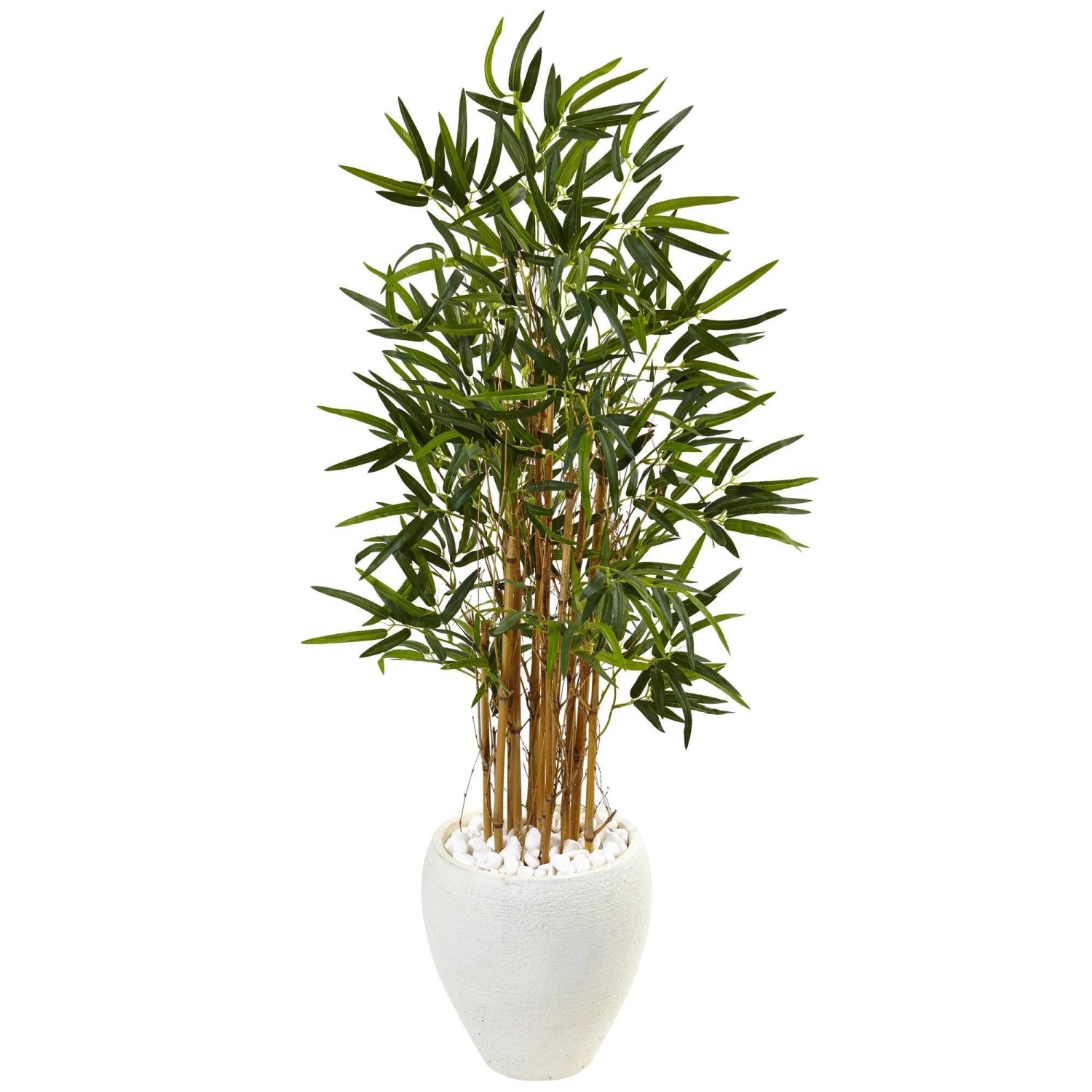 4’ Bamboo Tree In White Oval Planter 3 4’ Bamboo Tree In White Oval Planter