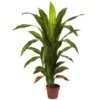 4' Dracaena Silk Plant (Real Touch) -Artificial Flowers Sale artificial 4 dracaena silk plant real touch nearly natural 223600