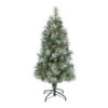 4’ Frosted Tip British Columbia Mountain Pine Artificial Christmas Tree With 100 Clear Lights, Pine Cones And 228 Bendable Branches -Artificial Flowers Sale artificial 4 frosted tip british columbia mountain pine artificial christmas tree with 100 clear lights pine nearly natural 559979