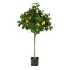 4’ Lemon Tree Artificial 1 4’ Lemon Tree Artificial -Artificial Flowers Sale artificial 4 lemon tree artificial nearly natural 728771