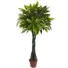 4’ Money Plant (Real Touch) -Artificial Flowers Sale artificial 4 money plant real touch nearly natural 506136