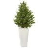 4’ Olive Cone Topiary Artificial Tree In White Planter(Indoor/Outdoor) -Artificial Flowers Sale artificial 4 olive cone topiary artificial tree in white planter uv resistant indooroutdoor nearly natural 116134