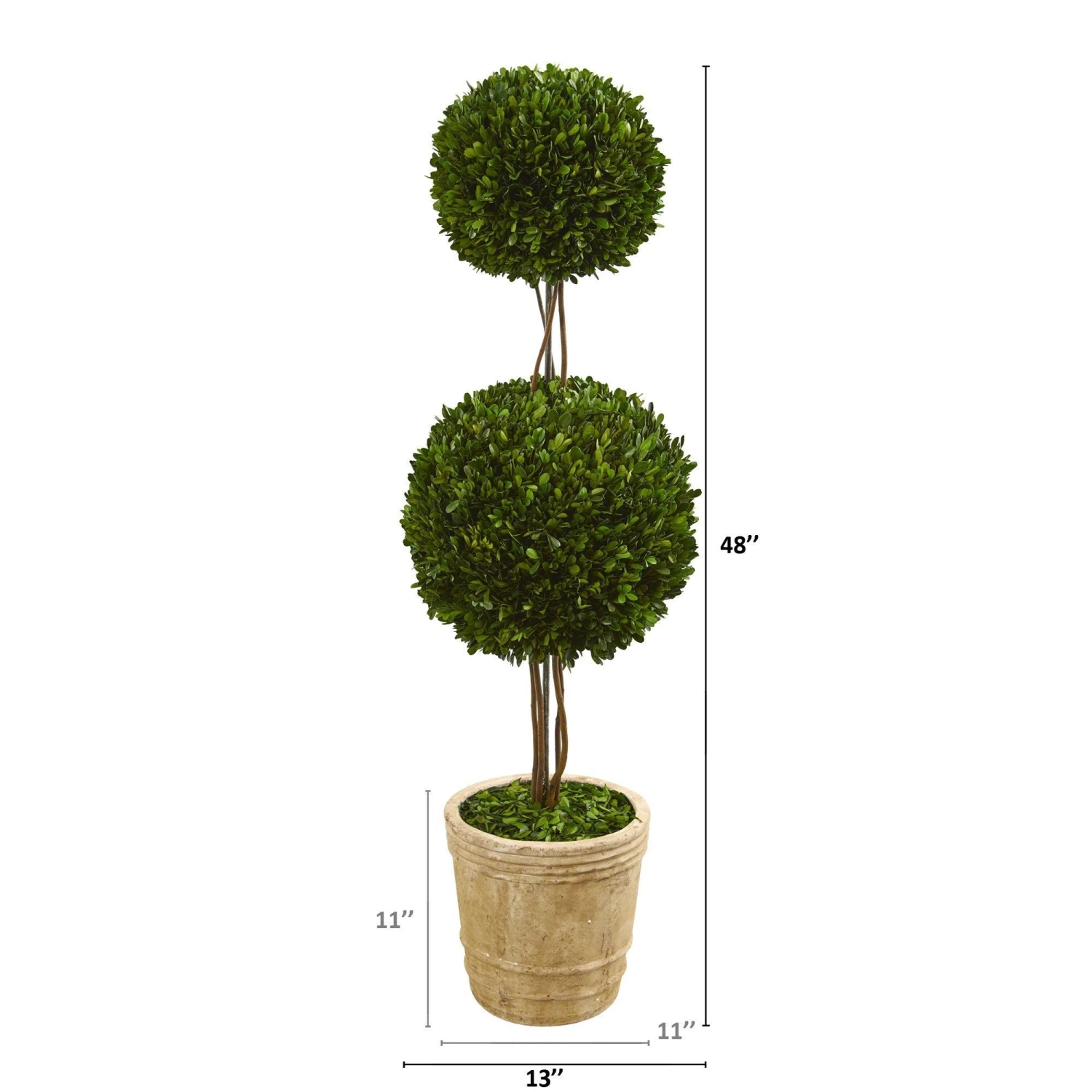 4’ Preserved Boxwood Double Ball Topiary Tree In Planter 4 4’ Preserved Boxwood Double Ball Topiary Tree In Planter - Image 2