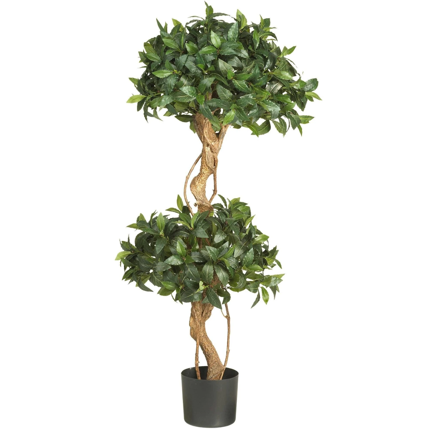 4' Sweet Bay Double Ball Topiary Silk Tree 3 4' Sweet Bay Double Ball Topiary Silk Tree