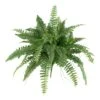 40” Artificial Boston Fern (Set Of 2) 2 40” Artificial Boston Fern (Set Of 2) -Artificial Flowers Sale artificial 40 boston fern set of 2 nearly natural 388557