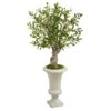 40” Olive Artificial Tree In Urn -Artificial Flowers Sale artificial 40 olive artificial tree in urn nearly natural 238495