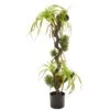 41” Air Plant And Succulent Jungle Artificial Plant -Artificial Flowers Sale artificial 41 air plant and succulent jungle artificial plant nearly natural 684221