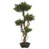 4.5’ Bonsai Styled Podocarpus Artificial Tree 1 4.5’ Bonsai Styled Podocarpus Artificial Tree -Artificial Flowers Sale artificial 45 bonsai styled podocarpus artificial tree nearly natural 183339