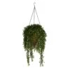 45” Gleditsia Artificial Plant In Hanging Cone Basket UV Resistant (Indoor/Outdoor) 1 45” Gleditsia Artificial Plant In Hanging Cone Basket UV Resistant (Indoor/Outdoor) -Artificial Flowers Sale artificial 45 gleditsia artificial plant in hanging cone basket uv resistant indooroutdoor nearly natural 211661
