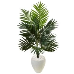 4.5’ Kentia Palm Tree In White Oval Planter