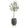 4.5’ Artificial Olive Tree In Gray Planter With Stand -Artificial Flowers Sale artificial 45 olive artificial tree in gray planter with stand nearly natural 614064