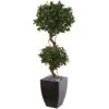 4.5' Sweet Bay Artificial Double Topiary Tree In Black Wash Planter 2 4.5' Sweet Bay Artificial Double Topiary Tree In Black Wash Planter -Artificial Flowers Sale artificial 45 sweet bay artificial double topiary tree in black wash planter nearly natural 592734