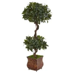 4.5’ Sweet Bay Double Topiary Tree In Metal Planter