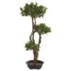 46” Bonsai Styled Podocarpus Artificial Tree -Artificial Flowers Sale artificial 46 bonsai styled podocarpus artificial tree nearly natural 618194