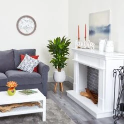 46” Corn Stalk Dracaena Artificial Plant In White Planter With Stand (Real Touch) 9 46” Corn Stalk Dracaena Artificial Plant In White Planter With Stand (Real Touch) -Artificial Flowers Sale artificial 46 corn stalk dracaena artificial plant in white planter with stand real touch nearly natural 298424