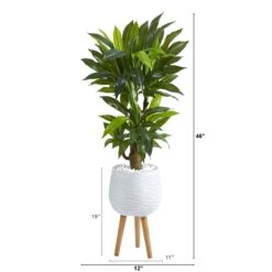 46” Corn Stalk Dracaena Artificial Plant In White Planter With Stand (Real Touch) 7 46” Corn Stalk Dracaena Artificial Plant In White Planter With Stand (Real Touch) -Artificial Flowers Sale artificial 46 corn stalk dracaena artificial plant in white planter with stand real touch nearly natural 460343