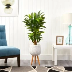 46” Corn Stalk Dracaena Artificial Plant In White Planter With Stand (Real Touch) 8 46” Corn Stalk Dracaena Artificial Plant In White Planter With Stand (Real Touch) -Artificial Flowers Sale artificial 46 corn stalk dracaena artificial plant in white planter with stand real touch nearly natural 466541