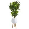 46” Corn Stalk Dracaena Artificial Plant In White Planter With Stand (Real Touch) 2 46” Corn Stalk Dracaena Artificial Plant In White Planter With Stand (Real Touch) -Artificial Flowers Sale artificial 46 corn stalk dracaena artificial plant in white planter with stand real touch nearly natural 988245