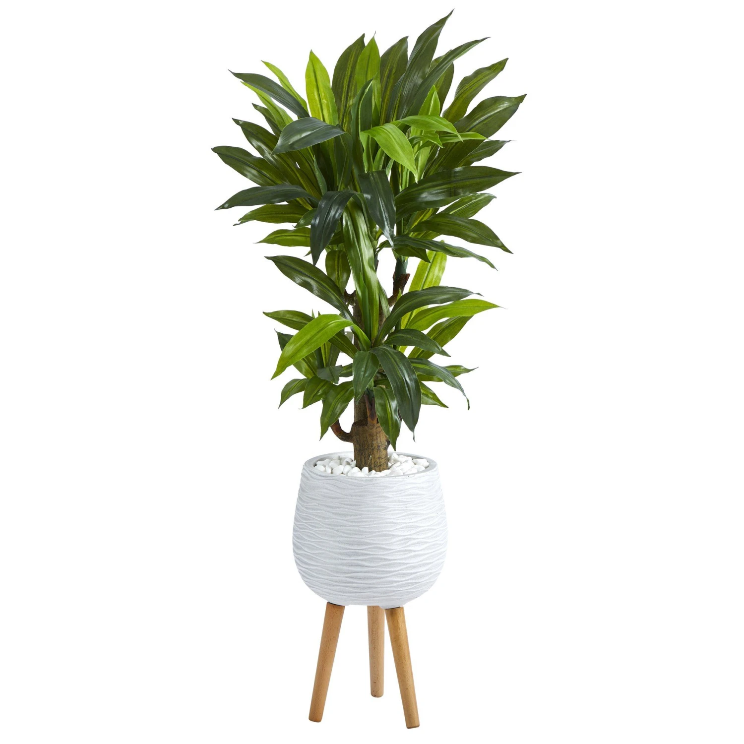 46” Corn Stalk Dracaena Artificial Plant In White Planter With Stand (Real Touch) 3 46” Corn Stalk Dracaena Artificial Plant In White Planter With Stand (Real Touch)