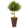 46” Olive Topiary Artificial Tree In Decorative Planter -Artificial Flowers Sale artificial 46 olive topiary artificial tree in decorative planter nearly natural 639605