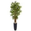 5’ Bamboo Tree In Gray Cylinder Planter 2 5’ Bamboo Tree In Gray Cylinder Planter -Artificial Flowers Sale artificial 5 bamboo tree in gray cylinder planter nearly natural 769557