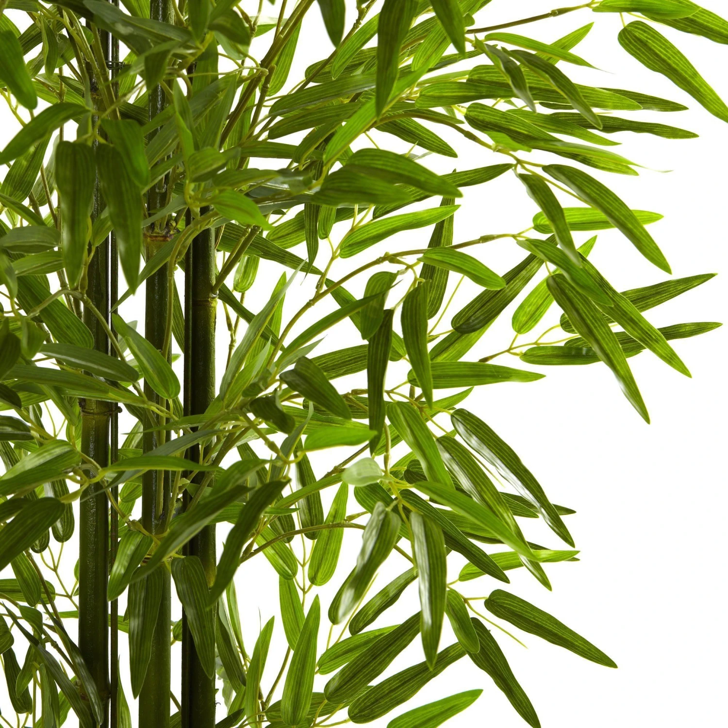 5' Bamboo Tree UV Resistant (Indoor/Outdoor) 4 5' Bamboo Tree UV Resistant (Indoor/Outdoor) - Image 2