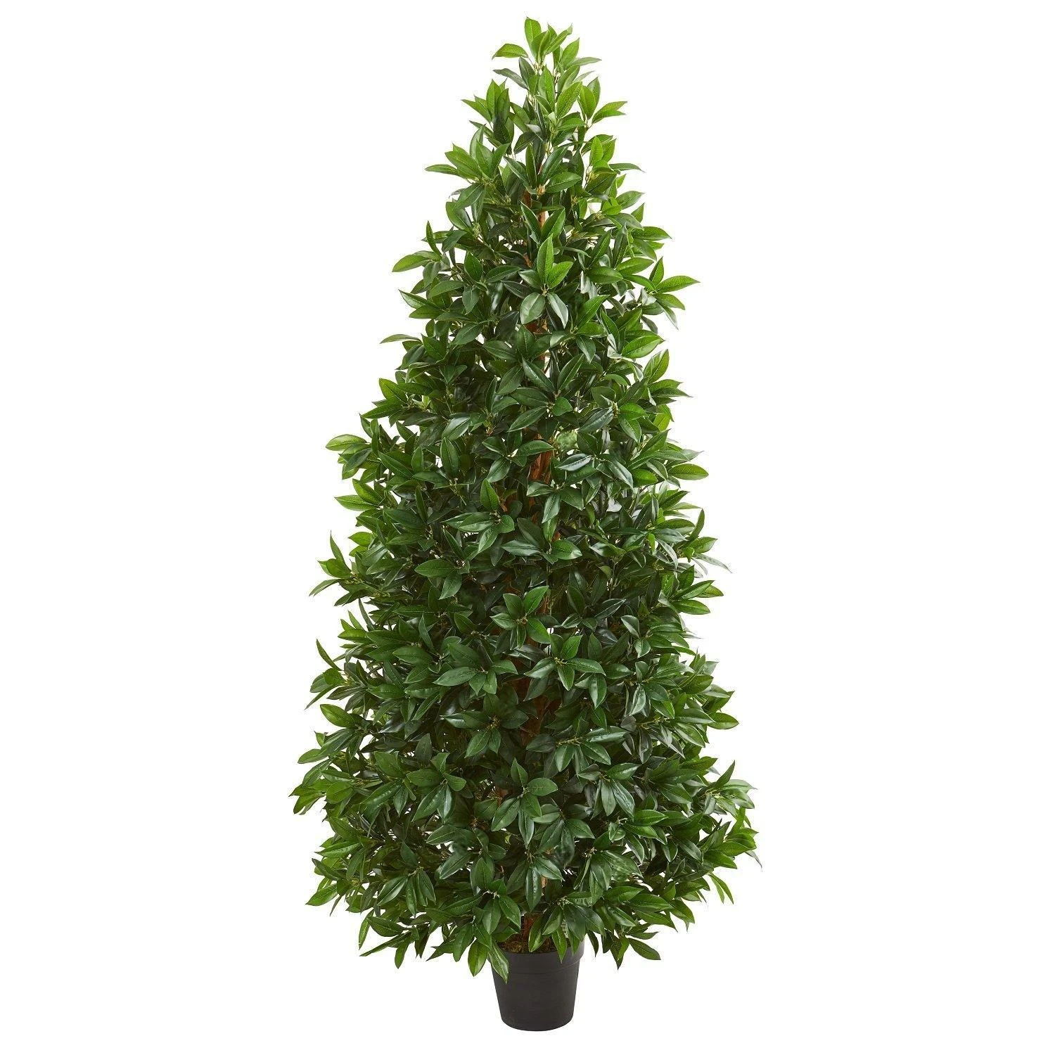5’ Bay Leaf Cone Topiary Artificial Tree UV Resistant (Indoor/Outdoor) 3 5’ Bay Leaf Cone Topiary Artificial Tree UV Resistant (Indoor/Outdoor)
