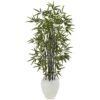 5’ Black Bamboo Tree In White Oval Planter