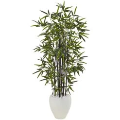 5’ Black Bamboo Tree In White Oval Planter
