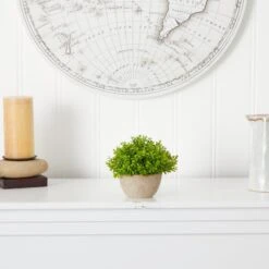 5” Boxwood Artificial Plant In Decorative Planter -Artificial Flowers Sale artificial 5 boxwood artificial plant in decorative planter nearly natural 967230