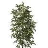 5' Bracken Fern Artificial Plant -Artificial Flowers Sale artificial 5 bracken fern artificial plant nearly natural 531851