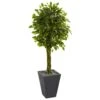 5’ Braided Ficus Artificial Tree In Slate Planter(Indoor/Outdoor) 1 5’ Braided Ficus Artificial Tree In Slate Planter(Indoor/Outdoor) -Artificial Flowers Sale artificial 5 braided ficus artificial tree in slate planter uv resistant indooroutdoor nearly natural 176483