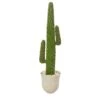 5’ Cactus Artificial Plant In Decorative Urn