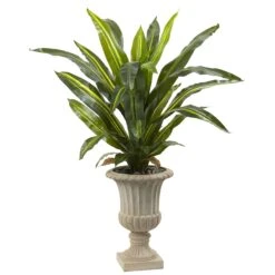 5’ Dracaena Plant With Urn (Real Touch)
