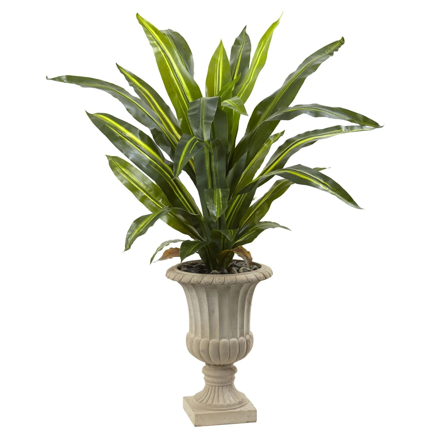 5’ Dracaena Plant With Urn (Real Touch) 3 5’ Dracaena Plant With Urn (Real Touch)