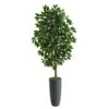 5’ Ficus Artificial Tree In Gray Planter -Artificial Flowers Sale artificial 5 ficus artificial tree in gray planter nearly natural 250430